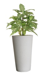 > </div>
<div class=